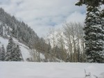 IMG 0004