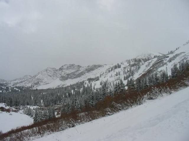 IMG 0009