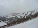 IMG 0009