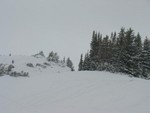 IMG 0012