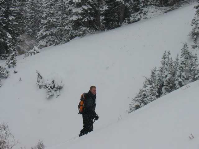 IMG 0017