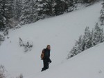 IMG 0017