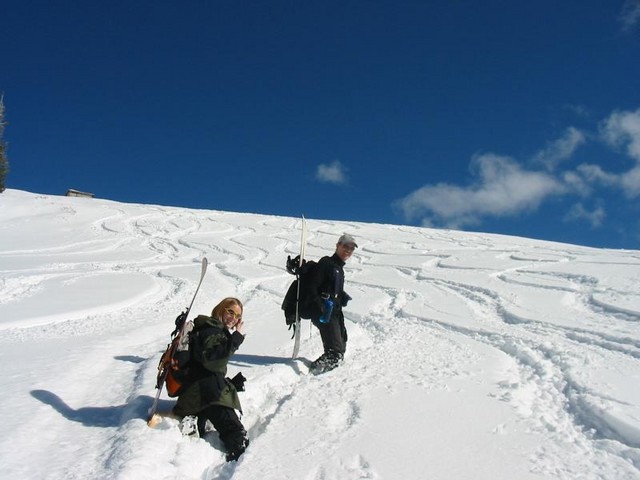 IMG 0008