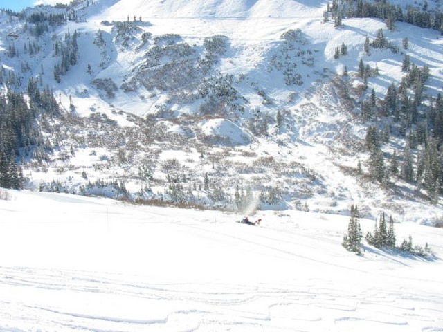 IMG 0010