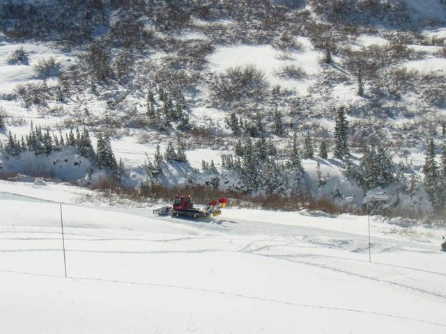 IMG 0011