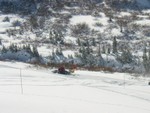 IMG 0011