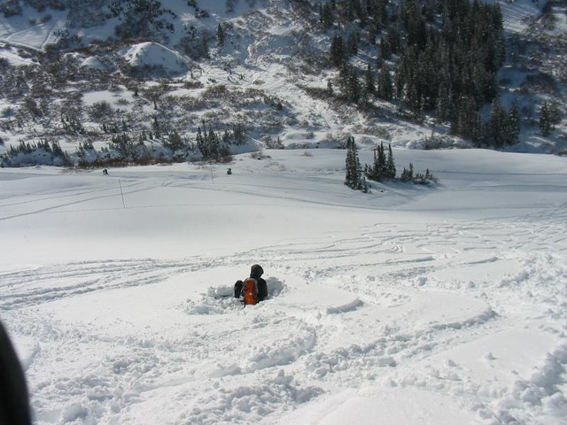 IMG 0014