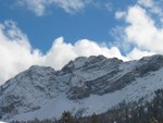 IMG 0020