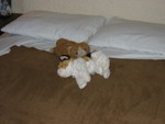 IMG 0166