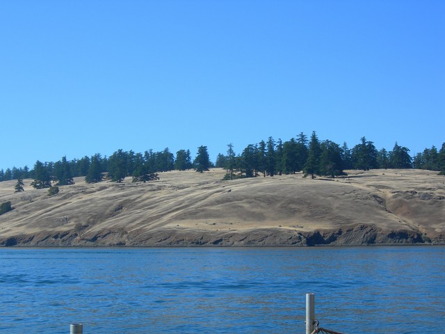 The only desert we saw in Victoria