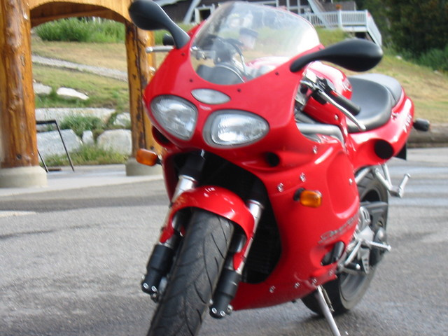 IMG 0008