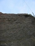 IMG 0017