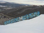 IMG 0137