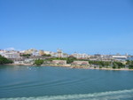 IMG 0110