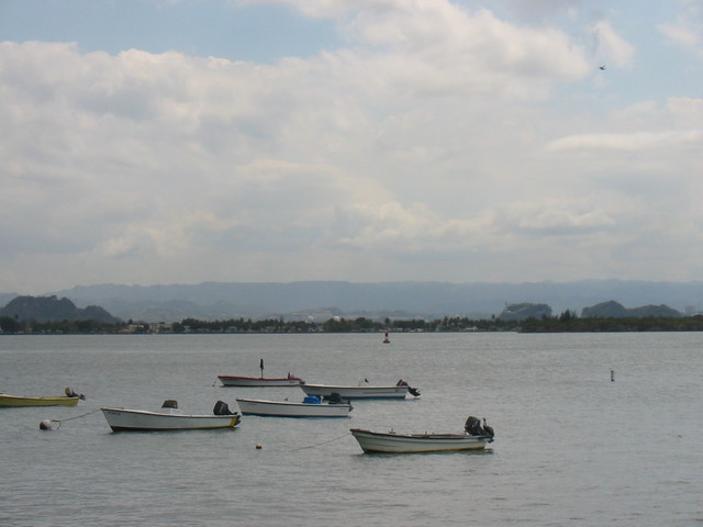 IMG 0116