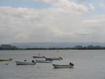 IMG 0116