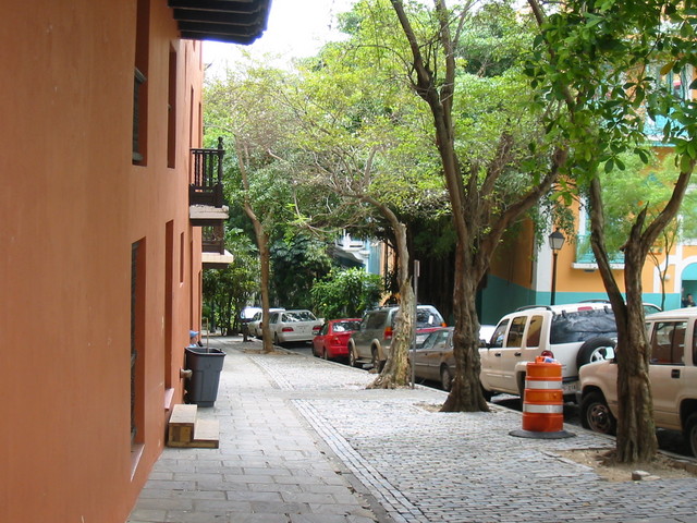 IMG 0120