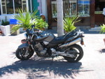 IMG 0153