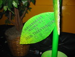 IMG 0024