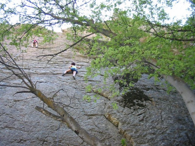 IMG 0015