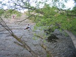 IMG 0015