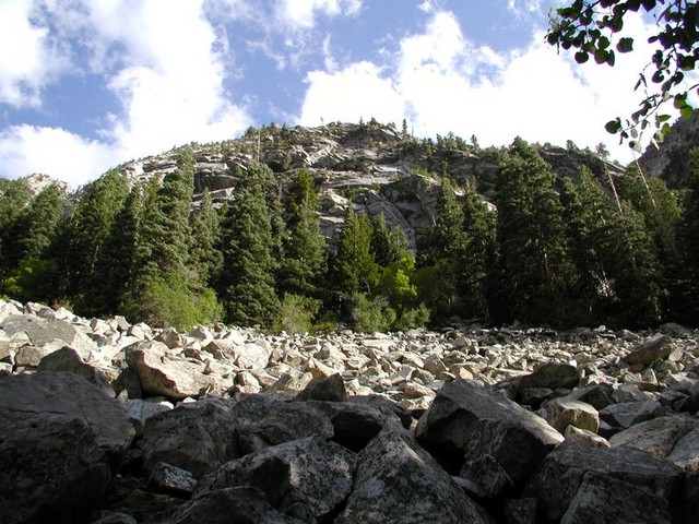 P8040060